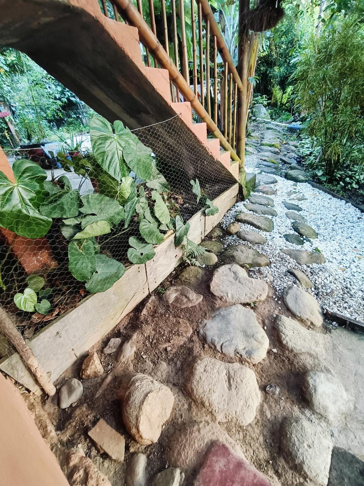 El Eden Minca Villa Екстериор снимка